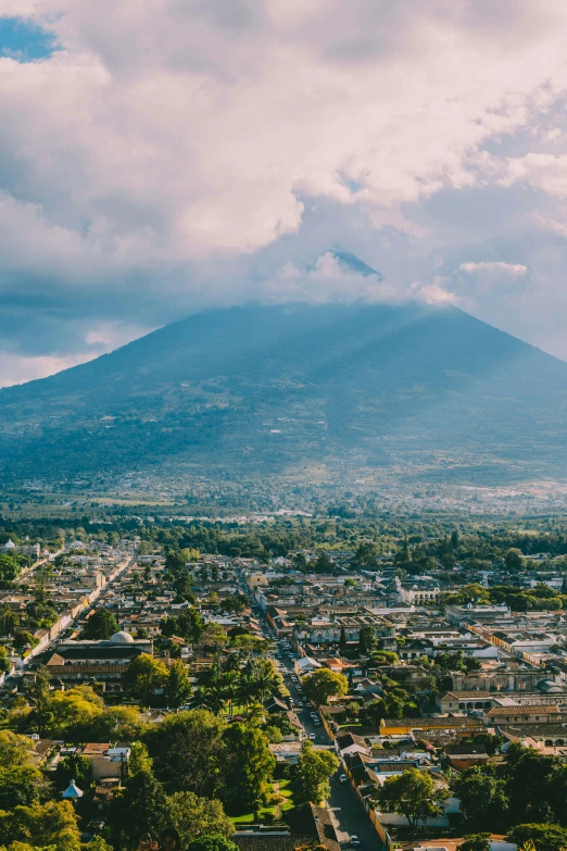 a view of a city with trees on it and a large mountain in the background