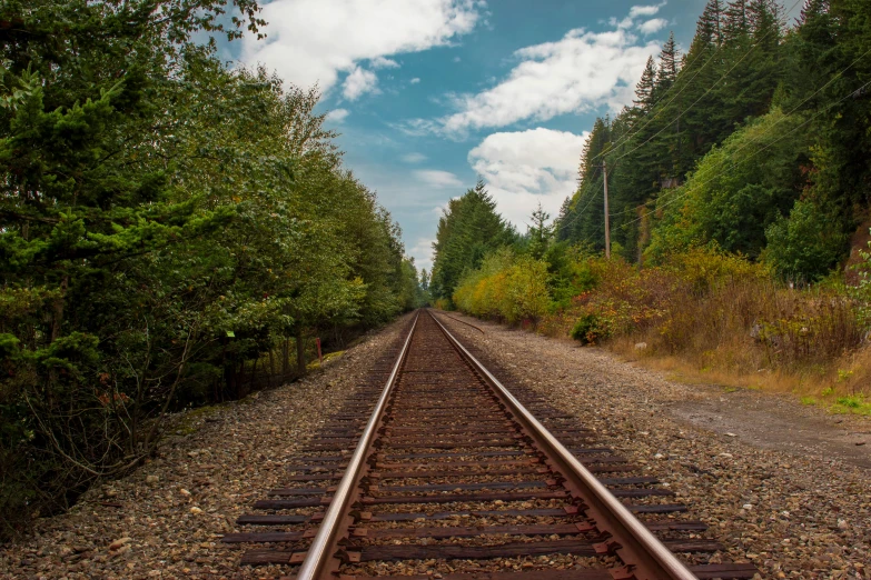 a train track in the middle of a forest, an album cover, unsplash, washington state, tv still, profile image, chemrail