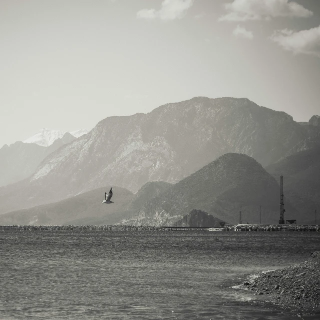 a bird flying over water next to a mountain range