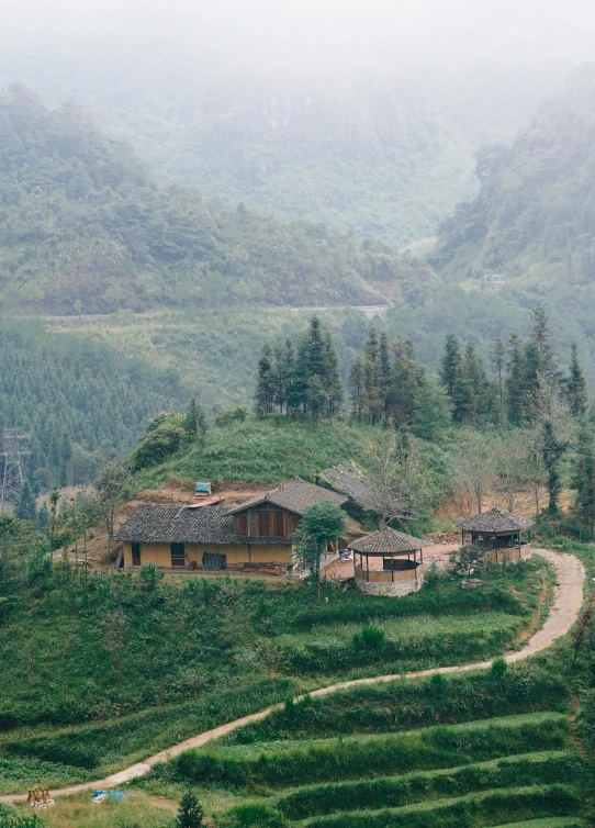 mountains covered in vegetation and trees surround a farm