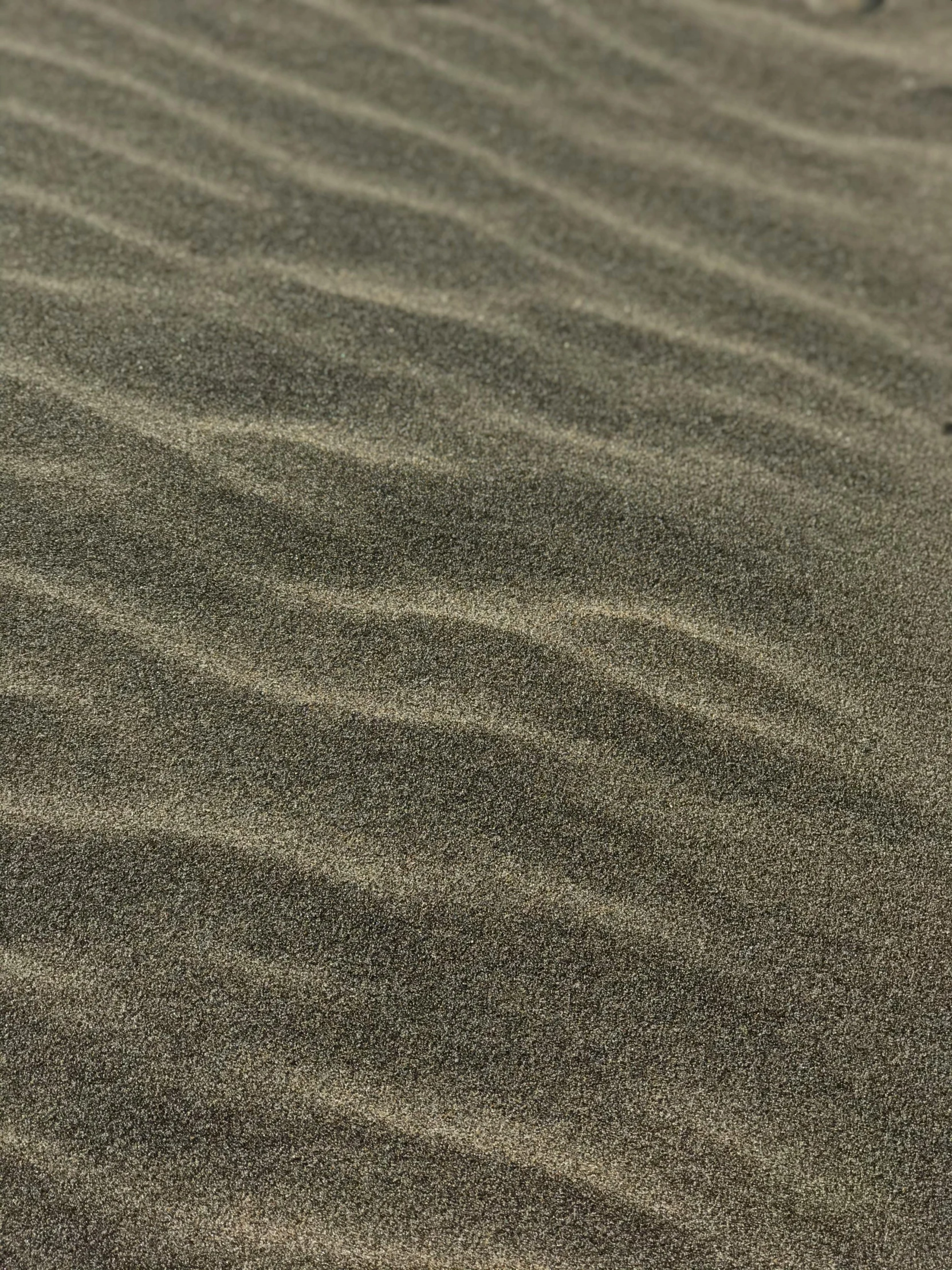 a cell phone sitting on top of a sandy beach, inspired by Vija Celmins, pexels, tonalism, 4 k detail, taupe, sinuous, dune