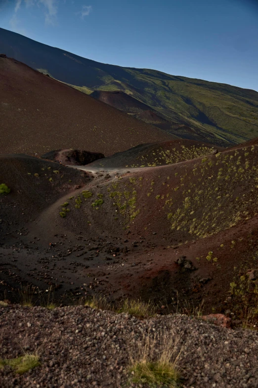 the road goes through a lush and scenic landscape