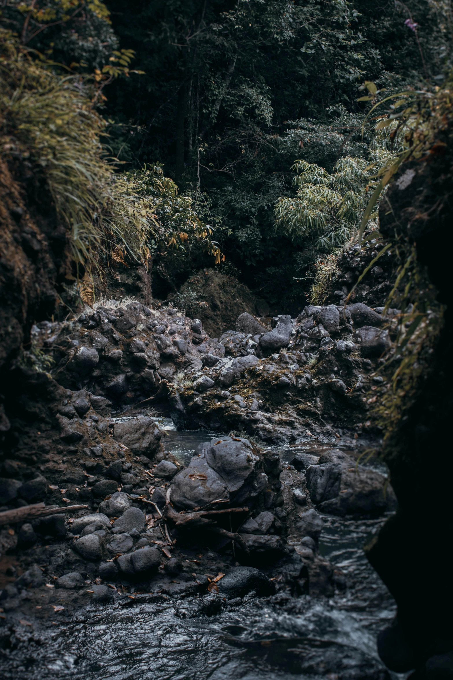 the man is walking across a river in the jungle