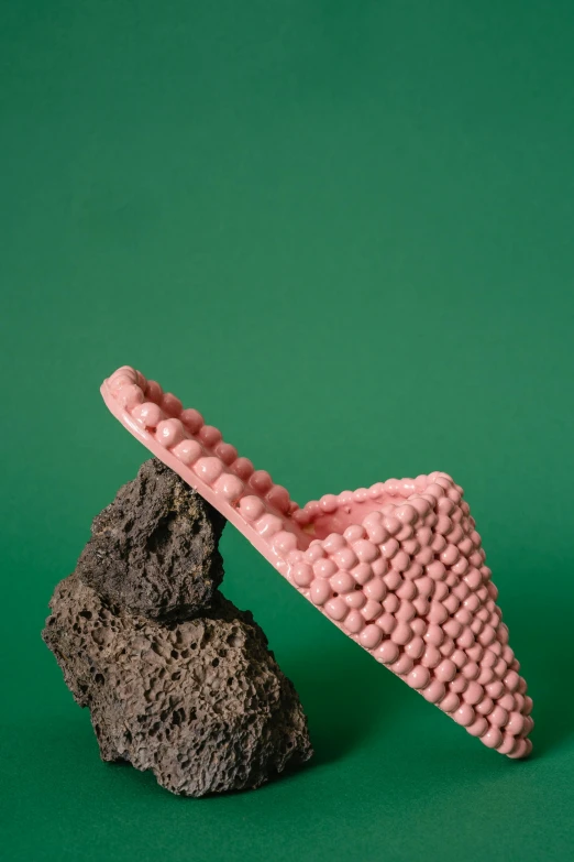 a pair of pink slippers sitting on top of a rock, by Nathalie Rattner, conceptual art, rubber waffle outsole, beans, 3 d print, profile shot