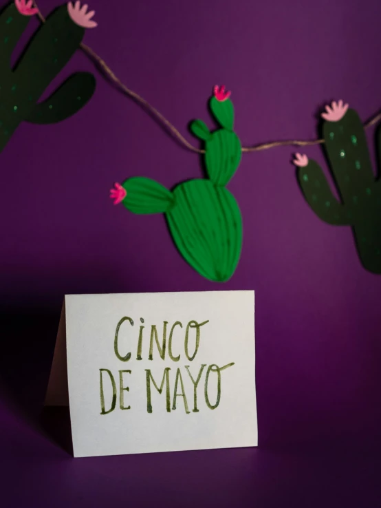 a cactus plant next to a sign that says cinco de mayoo, pexels contest winner, paper decoration, green and purple studio lighting, pair of keycards on table, full product shot