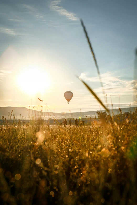 a hot air balloon flying over a field, a picture, by Peter Churcher, unsplash contest winner, sunflare, tourist photo, soft glow, overlooking a valley