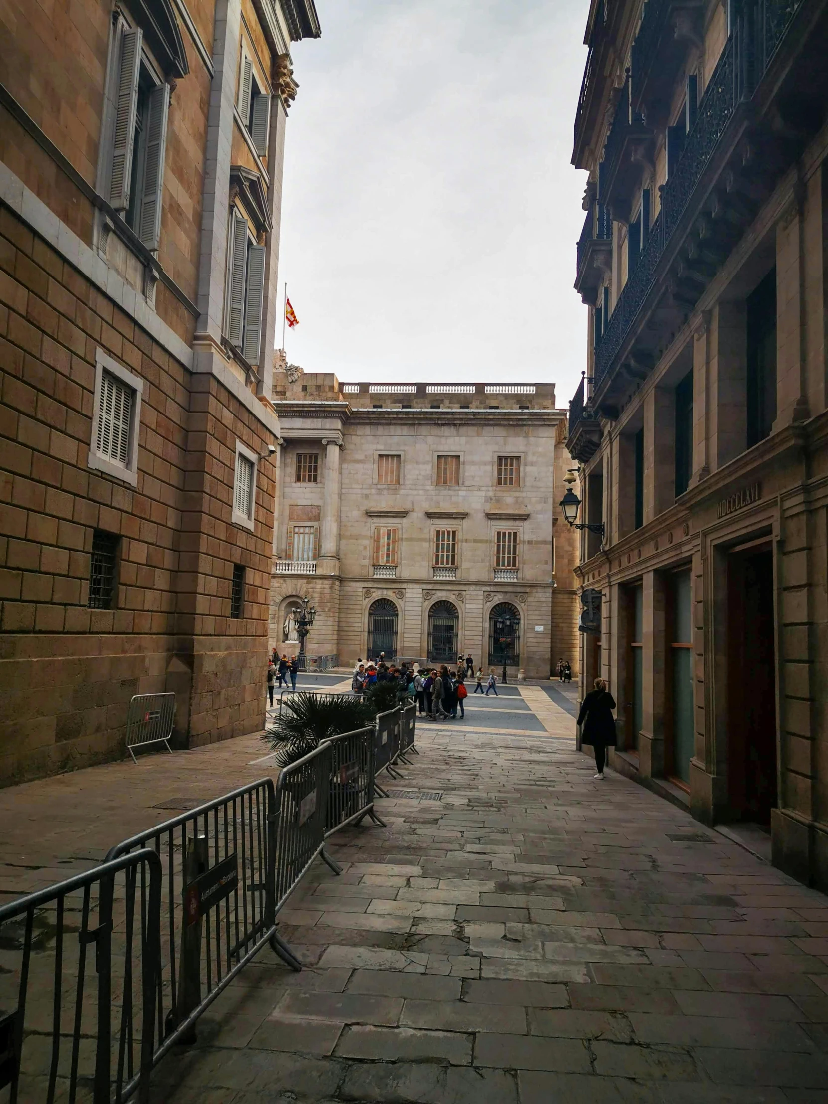 a group of people walking down a street next to tall buildings, a picture, renaissance, monserrat gudiol, old library, instagram picture, slight overcast