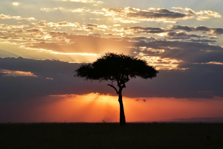 a lone tree is silhouetted against the setting sun, by Jessie Algie, pexels contest winner, hurufiyya, masai, fine art print, multiple stories