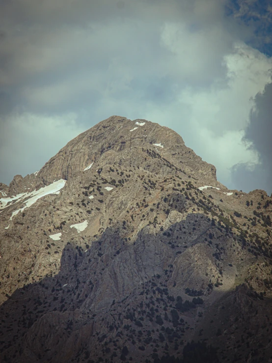 a mountain with a snow covered peak surrounded by trees