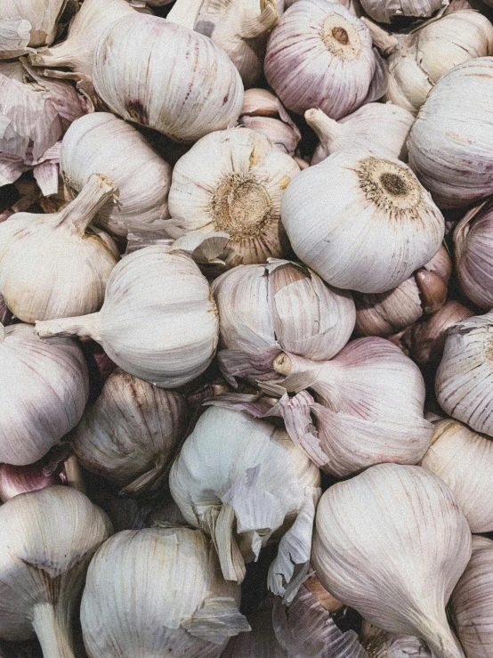 a pile of garlic sitting on top of a table, by Carey Morris, trending on unsplash, renaissance, background image, white-haired, full frame image, high quality product image”