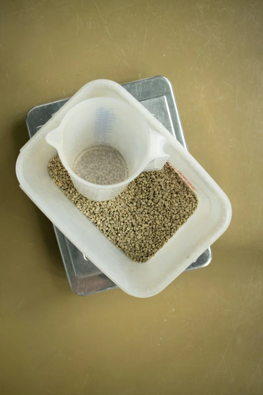 a plastic container filled with grains on top of a table, a stipple, carrying a tray, dirty gold, medium breed, white clay