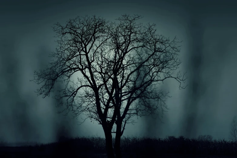 a black and white photo of a tree with no leaves, an album cover, inspired by Elsa Bleda, pexels contest winner, gothic art, dark tenebrous blue background, ((trees)), scary night, digital artwork