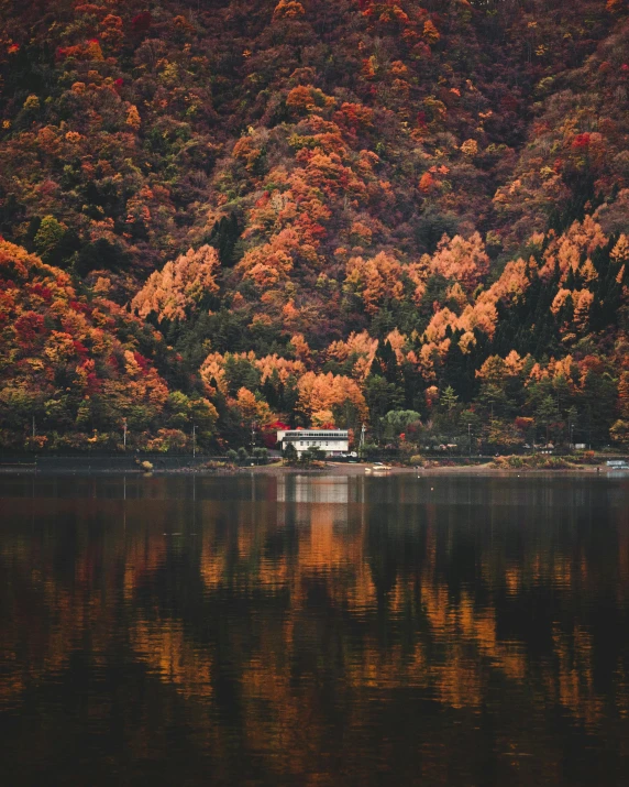 a boat sitting on top of a lake next to a forest, unsplash contest winner, sōsaku hanga, dark oranges reds and yellows, japanese house, tawa trees, fujicolor photo