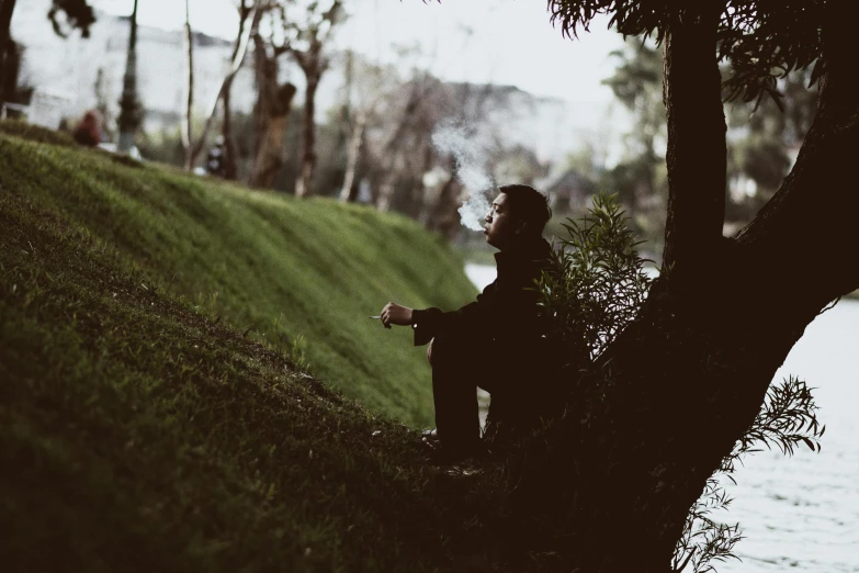 a man sitting on top of a lush green hillside, inspired by Elsa Bleda, unsplash, sumatraism, mads mikkelsen smoking cigarette, sitting under a tree, background ( dark _ smokiness ), in a park
