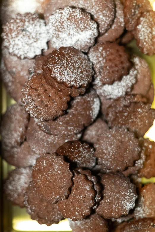 a pile of chocolate cookies covered in powdered sugar, reddit, new mexico, manhattan, up-close, turkey