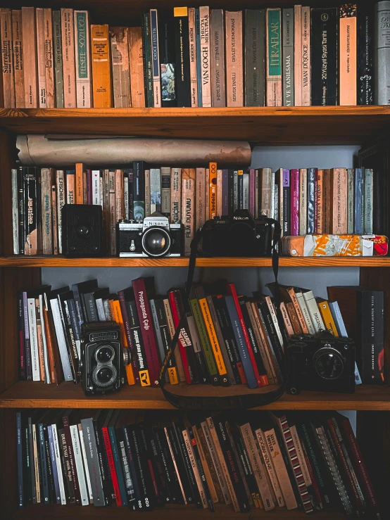 a bookshelf filled with lots of books and cameras, a picture, lgbtq, uncropped, photography]