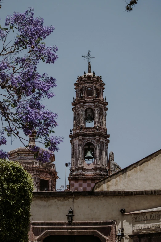 a couple of people that are standing in front of a building, a colorized photo, by Alejandro Obregón, pexels contest winner, renaissance, purple flower trees, holy cross, neoclassical tower with dome, mexico