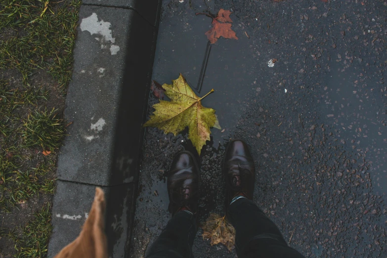 a person standing on a sidewalk next to a leaf, while it's raining, leather clothing and boots, paw pov, instagram post