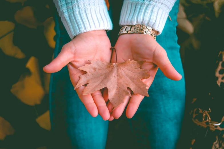 a person holding a leaf in their hands, a photo, trending on pexels, avatar image, brown, single pair of hands, teenage girl