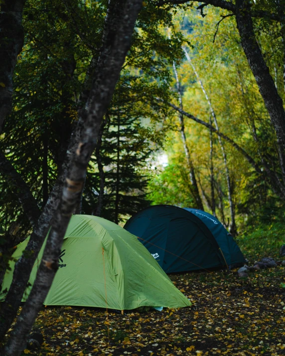 a couple of tents that are in the woods, a picture, unsplash, renaissance, trees with lots of leaves, thumbnail, mid shot photo, multiple stories