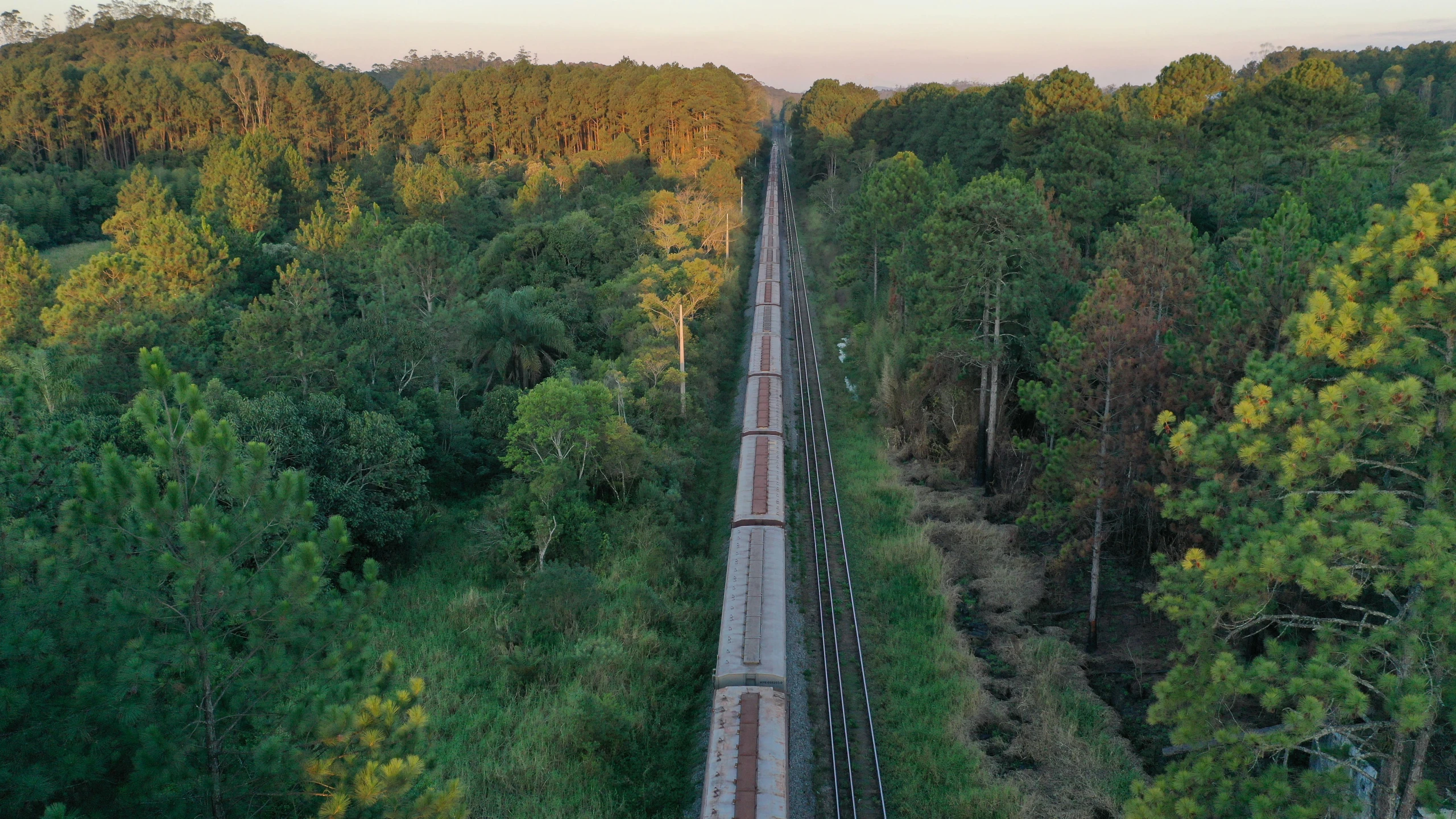 a train traveling through a lush green forest, an album cover, inspired by Steve McCurry, unsplash contest winner, sumatraism, drone view, thumbnail, early evening, wide film still