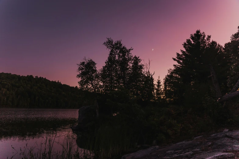 a large body of water next to a forest, unsplash contest winner, tonalism, moonlit purple sky, pink golden hour, crescent moon, boreal forest