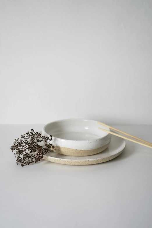 a white plate with chopsticks next to it, inspired by Lewis Henry Meakin, handcrafted, made of glazed, a small, couple