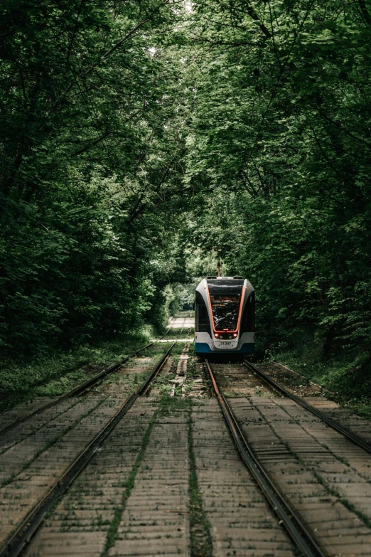 a train traveling through a lush green forest, an album cover, by Adam Marczyński, unsplash contest winner, trams, ukraine, underground scene, 2000s photo