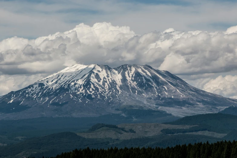 a snowy mountain is in the distance with trees around