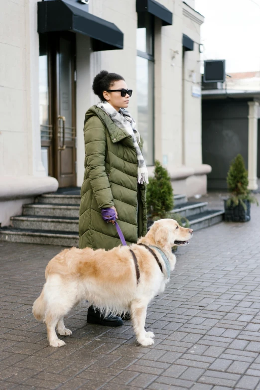 a woman walking a dog on a leash in front of a building, trending on instagram, wearing hunter coat, helsinki, blind, gold