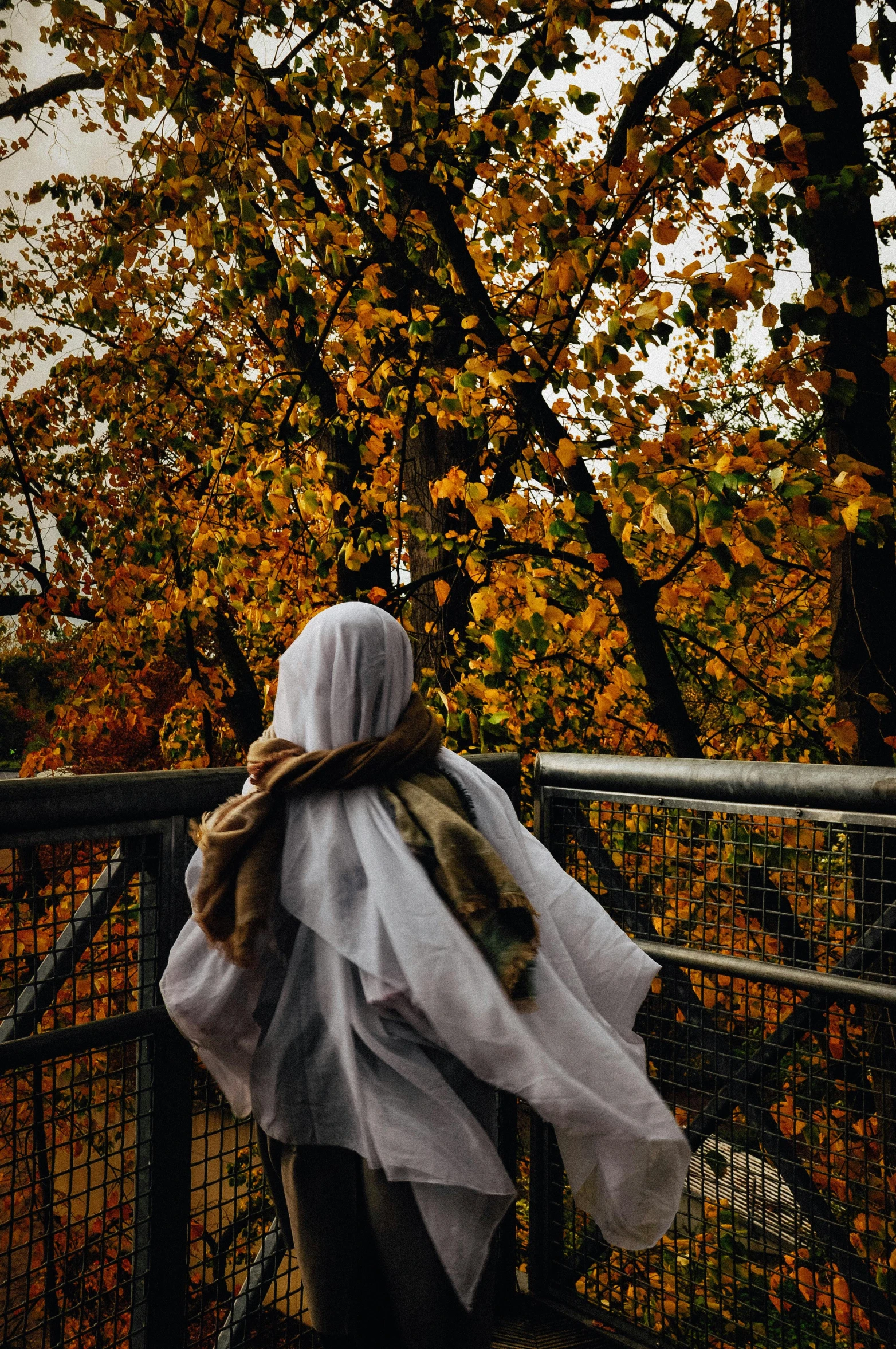 a person that is standing on a bridge, an album cover, inspired by Elsa Bleda, pexels contest winner, white hijab, spooky autumnal colours, 15081959 21121991 01012000 4k, spirits covered in drapery