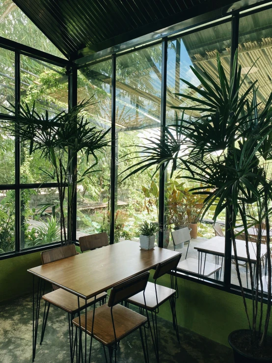 a table and chairs in a room with large windows, inspired by Constantin Hansen, unsplash, modernism, malaysia jungle, in a bright cafe, shot with iphone 1 0, exterior botanical garden