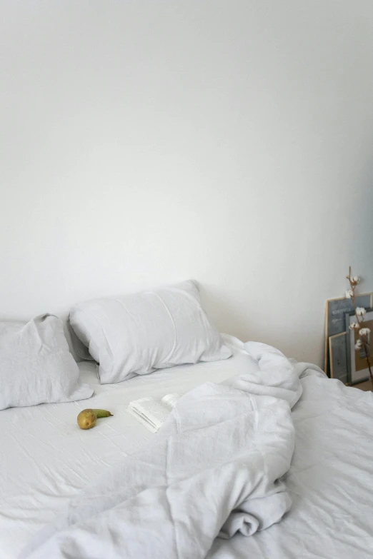 a bed that has a bunch of pillows on it, unsplash contest winner, minimalism, snacks, low quality photo, light grey, honey