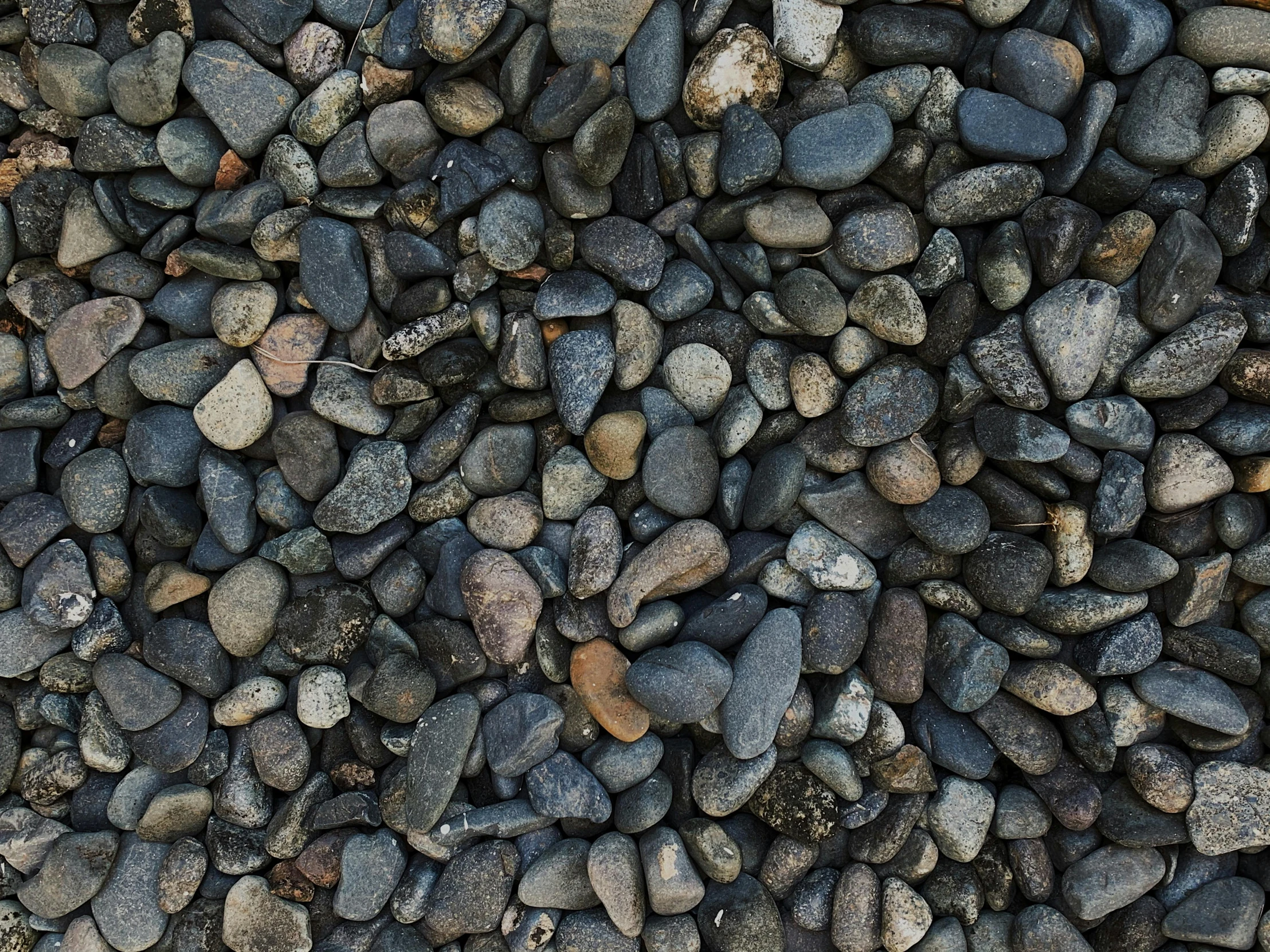 a red fire hydrant sitting on top of a pile of rocks, an album cover, inspired by Vija Celmins, unsplash, minimalism, seamless texture, beans, black stone, street of teal stone