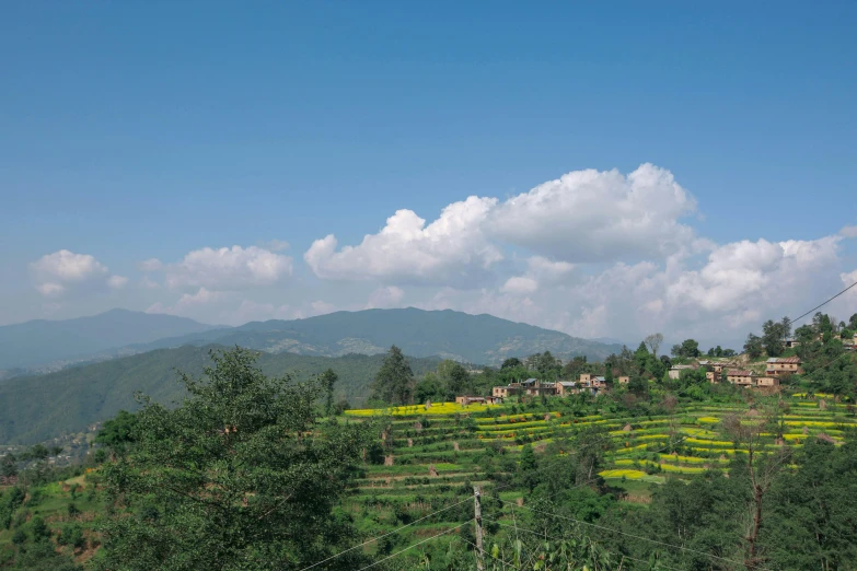 a small village on a hill surrounded by trees