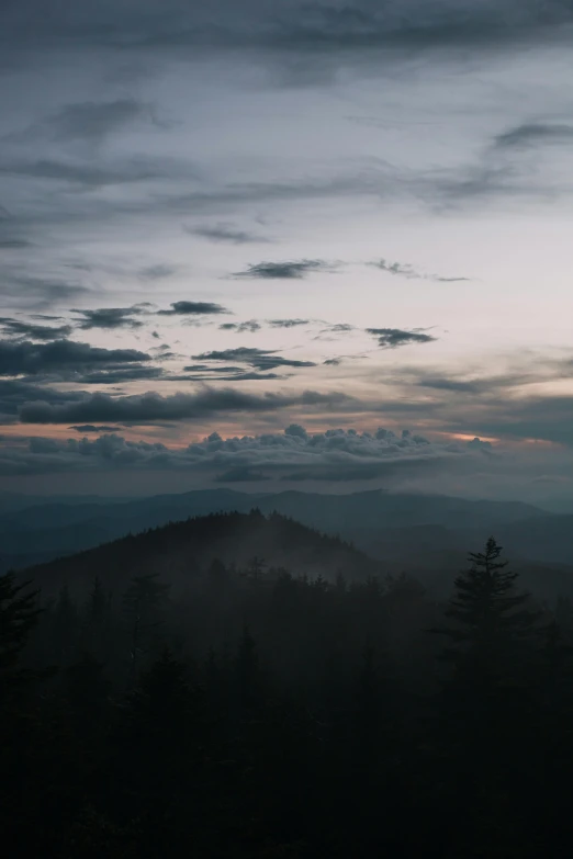 dark clouds over trees in the distance