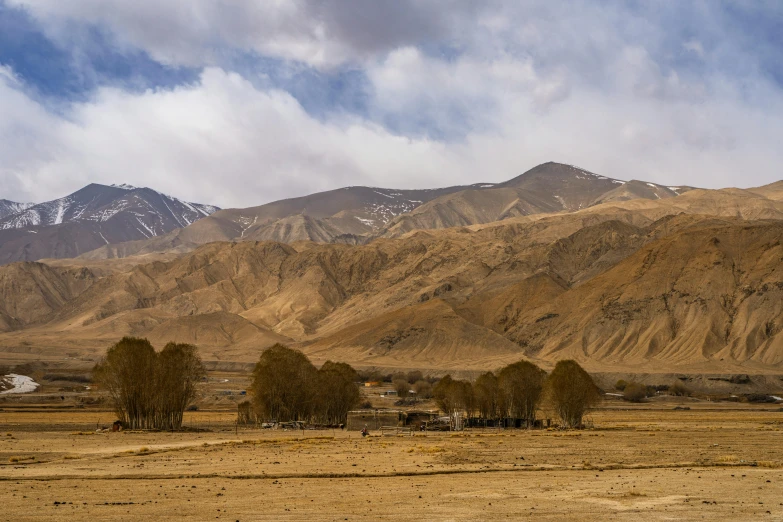 two horses on a grass field near some mountains