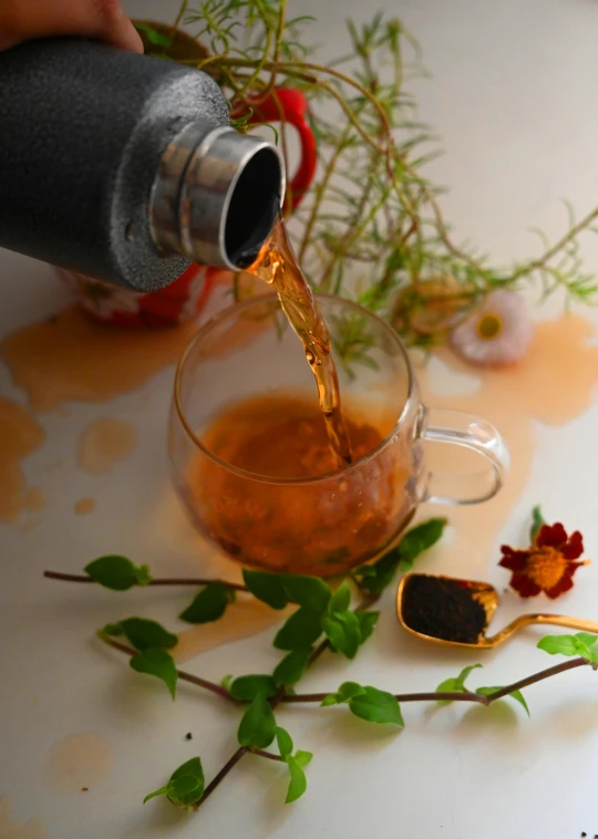 a person pouring tea into a glass cup, a digital rendering, inspired by Henriette Grindat, unsplash, botanicals, thumbnail, full frame image, garnish