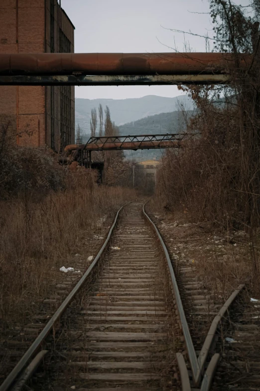 a train track that is next to a building, inspired by Elsa Bleda, unsplash contest winner, renaissance, abandoned ruins landscape, transylvania, low quality photo, taken in the mid 2000s