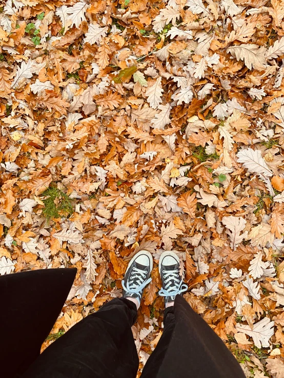 a person standing on top of a pile of leaves, low quality photo, sneaker photo, high-resolution photo, photo on iphone
