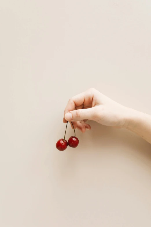 there is a small pair of cherries in the hand