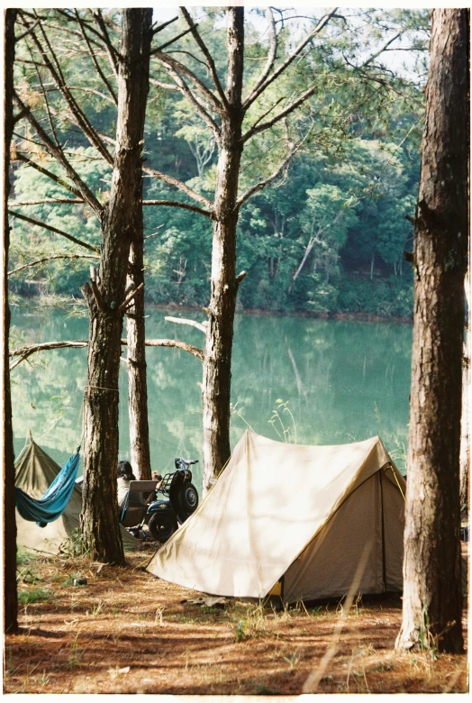 a tent in the woods next to a body of water, vintage polaroid photo, with matsu pine trees, tn, just