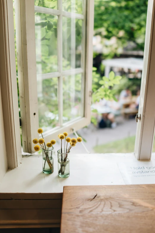 flowers in a vase are seen on a windowsill