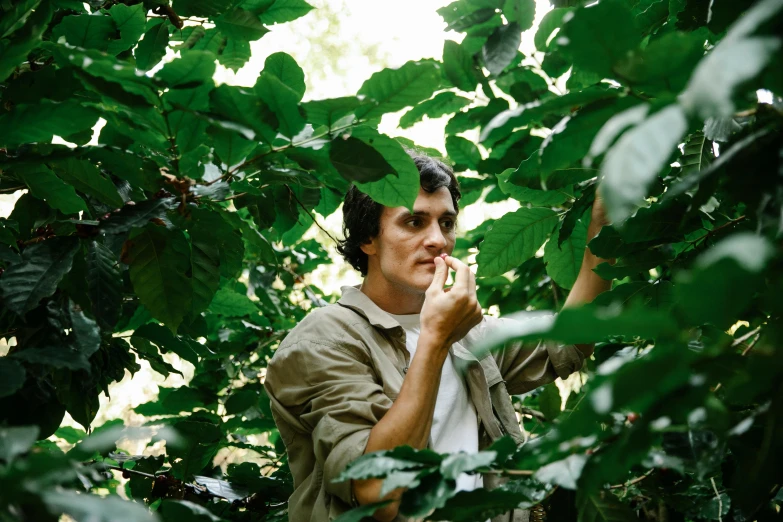 a man standing in the middle of a lush green forest, amongst coffee beans and flowers, declan mckenna, scientist, sheltering under a leaf