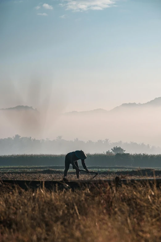 a herd of elephants walking across a dry grass field, inspired by Steve McCurry, sumatraism, arm reaching out of thick fog, immaculate rows of crops, laos, man with scythe