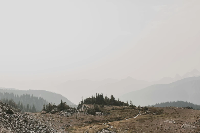 a dirt trail leads into a rocky mountain with pine trees