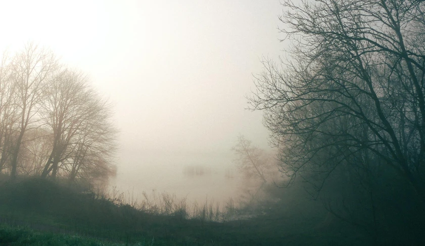 a red fire hydrant sitting on top of a lush green field, a picture, inspired by Elsa Bleda, pexels, tonalism, in a foggy pond, old photo of a creepy landscape, small lake, grey