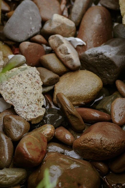 a pile of rocks sitting on top of a bed of water, an album cover, inspired by Alexander Brook, unsplash, renaissance, gravels around, closeup 4k, seaweed and bubles, ((rocks))