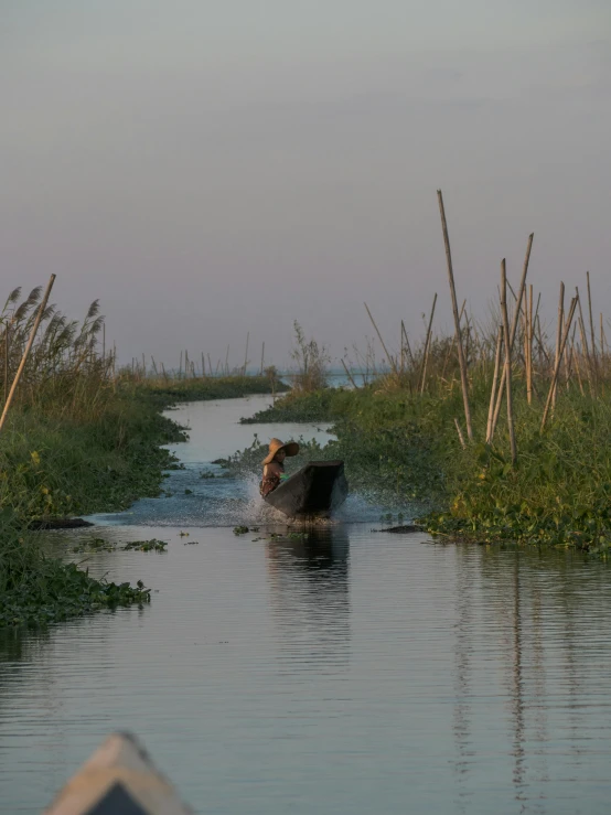 a person on a boat in a body of water, a picture, long vines, at twilight, slide show, myanmar