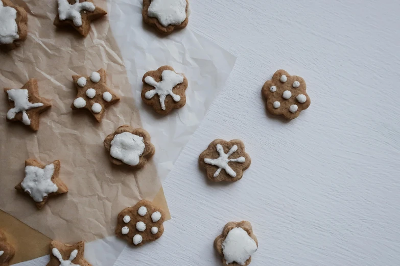 a table topped with lots of cookies covered in frosting, by Emma Andijewska, pexels, drawn on white parchment paper, salt, seasonal, 3 mm